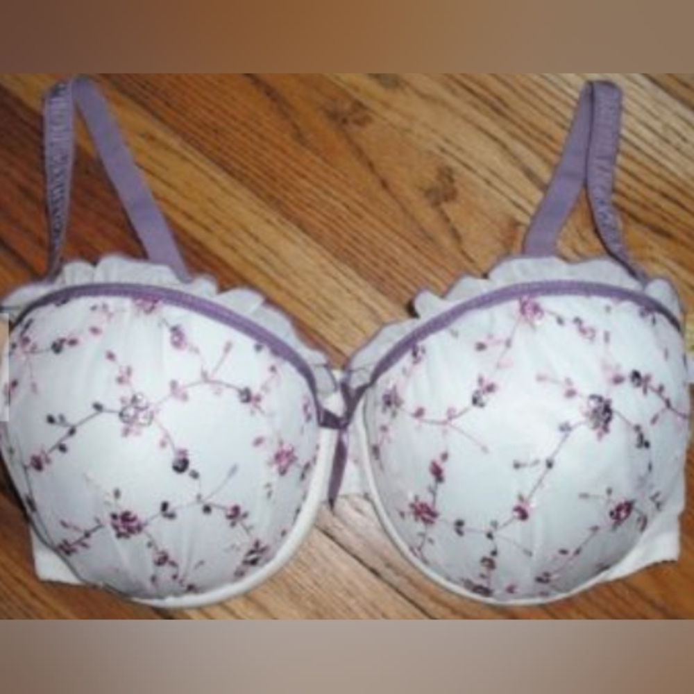 Victorian Floral Embroidery Lace Ruffle Push Up Bra Women